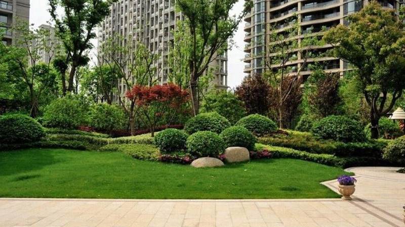 S16入围赛对阵怎么查?赛制逻辑与分组看点全解析