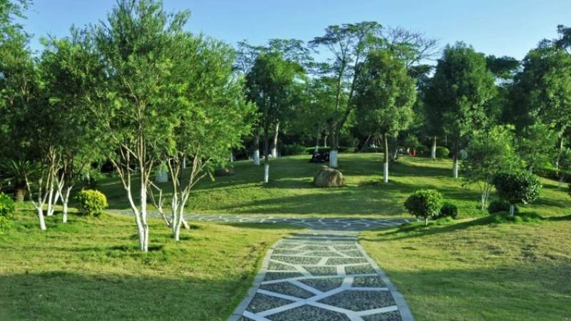 2026lol全球总决赛赛程整理服务配图