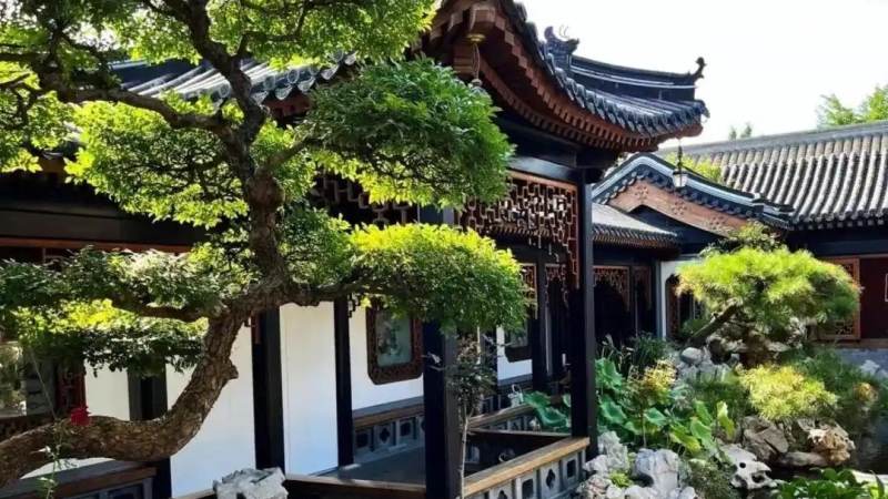 全球总决赛门票怎么买？购票渠道与防坑指南