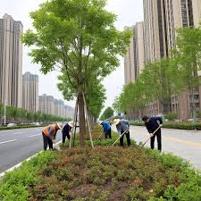 宁安绿化市容热线